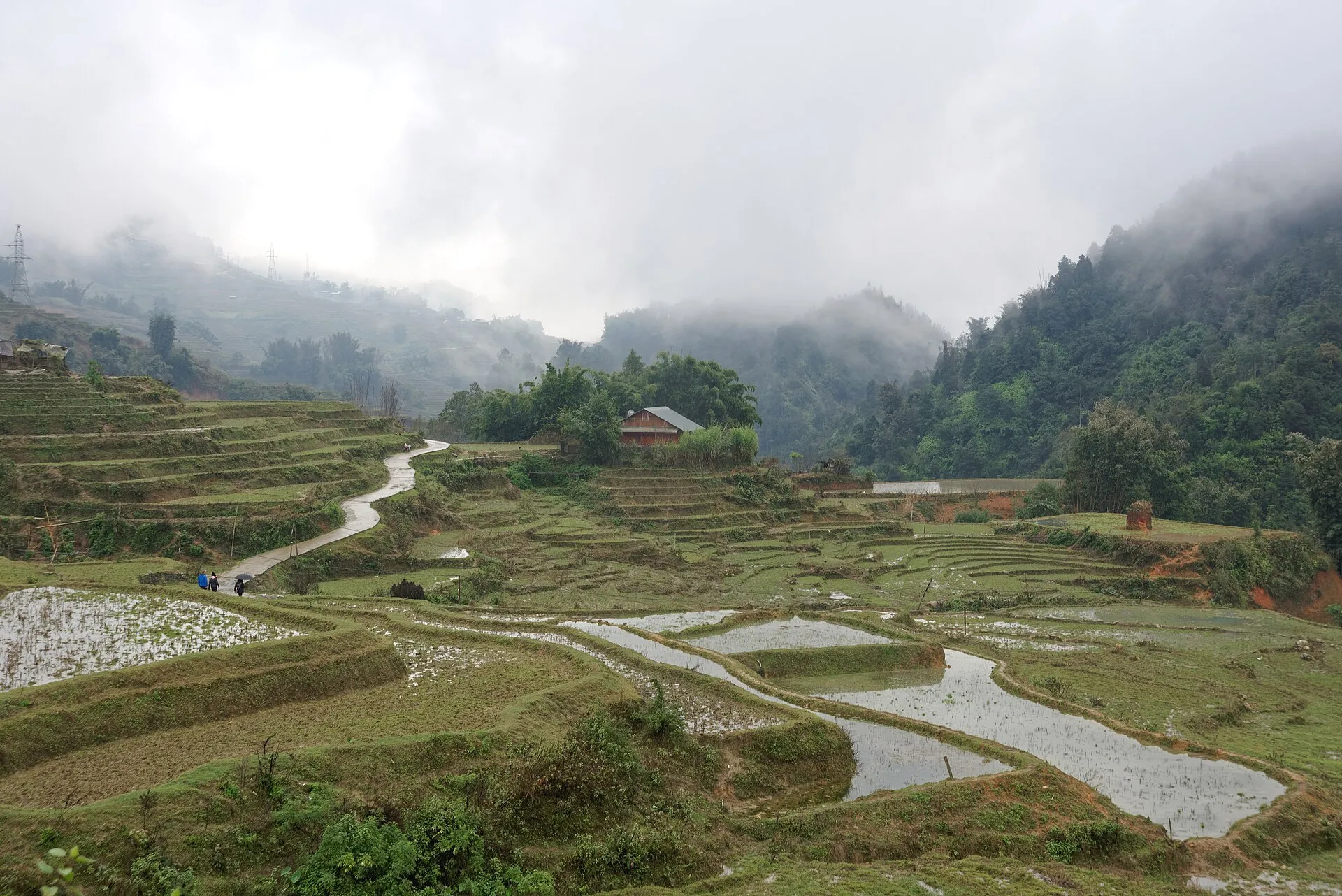 Hà Nội – Hạ Long – Sa Pa — ảnh 2
